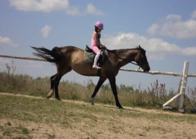 oboz-konie-2011-0136