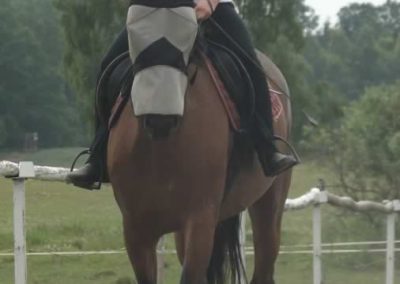 oboz-konie-2015-3-0009