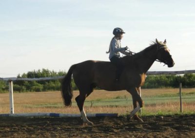 oboz-konie-2015-3-0241