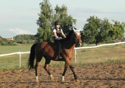 oboz-konie-2015-3-0262