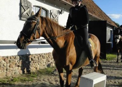 oboz-konie-2015-4-0042