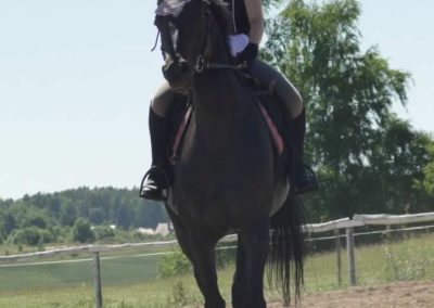 oboz-konie-2015-5-0020