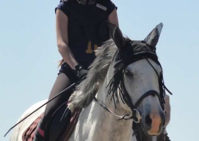oboz-konie-2015-5-0037