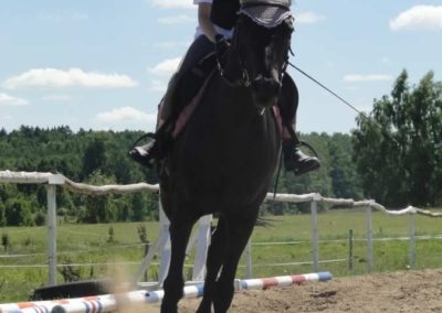 oboz-konie-2015-5-0230