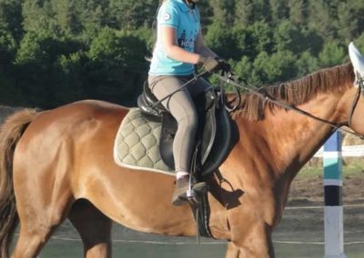 oboz-konie-2015-5-0272