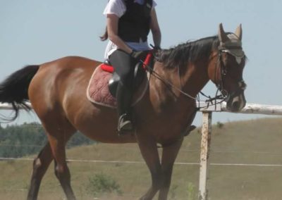 oboz-konie-2015-6-0005