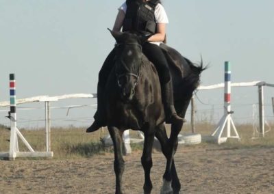 oboz-konie-2015-6-0203