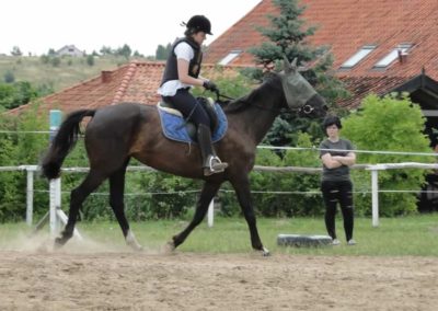 oboz-konie-2016-1-1-0016