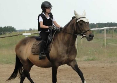 oboz-konie-2016-1-1-0045