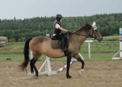 oboz-konie-2016-1-1-0067