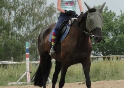oboz-konie-2016-1-1-0096