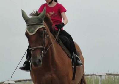 oboz-konie-2016-1-1-0121