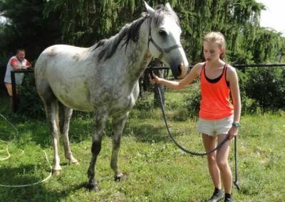 oboz-konie-2016-1-2-0005