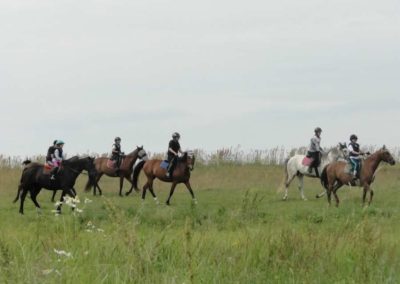 oboz-konie-2016-1-3-0003