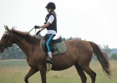 oboz-konie-2016-1-3-0043