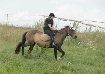 oboz-konie-2016-1-3-0058