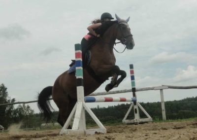 oboz-konie-2016-1-3-0123