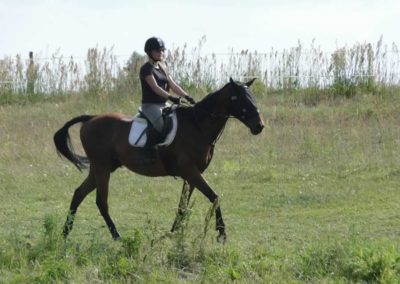 oboz-konie-2016-1-3-0229