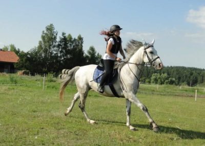 oboz-konie-2016-1-3-0250