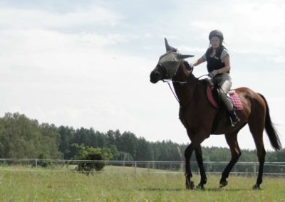 oboz-konie-2016-1-4-0004