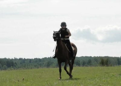 oboz-konie-2016-1-4-0007