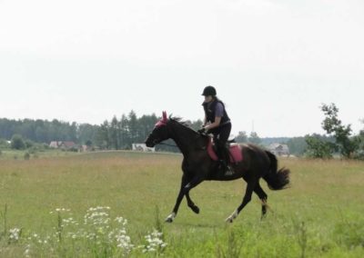 oboz-konie-2016-1-4-0049