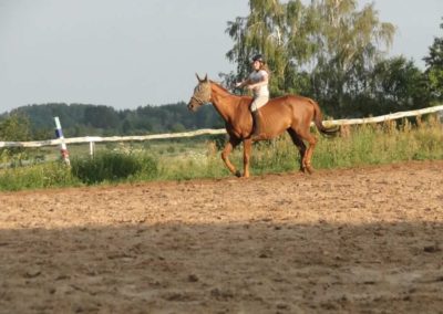 oboz-konie-2016-1-4-0183