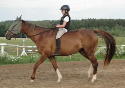oboz-konie-2016-1-4-0193