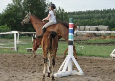 oboz-konie-2016-1-4-0199