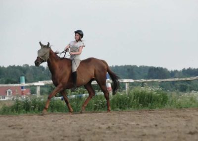 oboz-konie-2016-1-4-0213