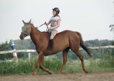 oboz-konie-2016-1-4-0219