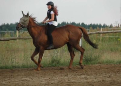 oboz-konie-2016-1-4-0232