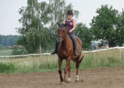 oboz-konie-2016-1-4-0240