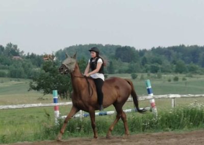 oboz-konie-2016-1-4-0243