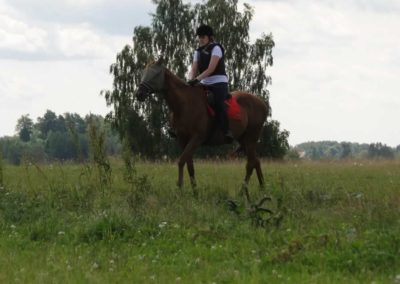 oboz-konie-2016-1-5-0002