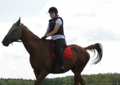 oboz-konie-2016-1-5-0005