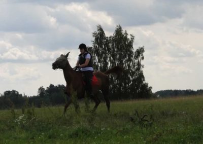 oboz-konie-2016-1-5-0014