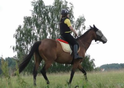 oboz-konie-2016-1-5-0032