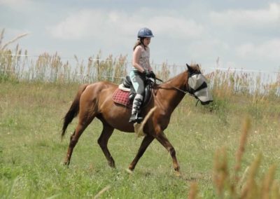 oboz-konie-2016-1-5-0055