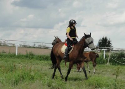 oboz-konie-2016-1-5-0060
