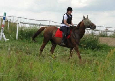 oboz-konie-2016-1-5-0068