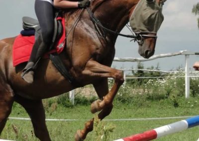 oboz-konie-2016-1-5-0081