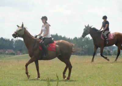 oboz-konie-2016-1-5-0146