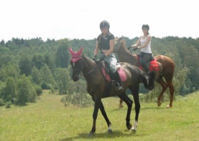 oboz-konie-2016-1-5-0151