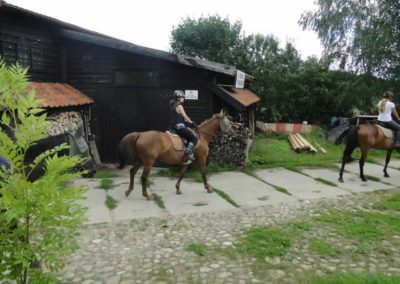 oboz-konie-2016-1-6-0026