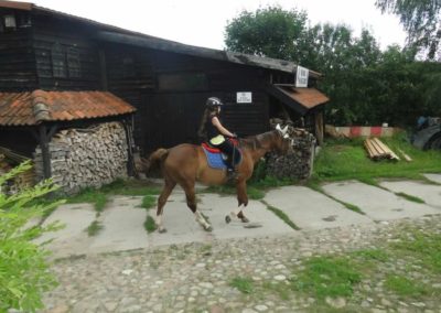 oboz-konie-2016-1-6-0027
