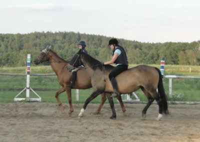 oboz-konie-2016-1-6-0070