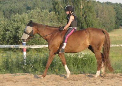 oboz-konie-2016-1-6-0083