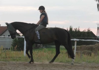 oboz-konie-2016-1-6-0148