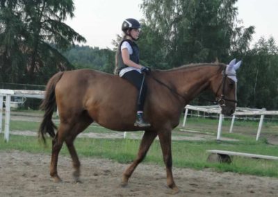 oboz-konie-2016-1-6-0151